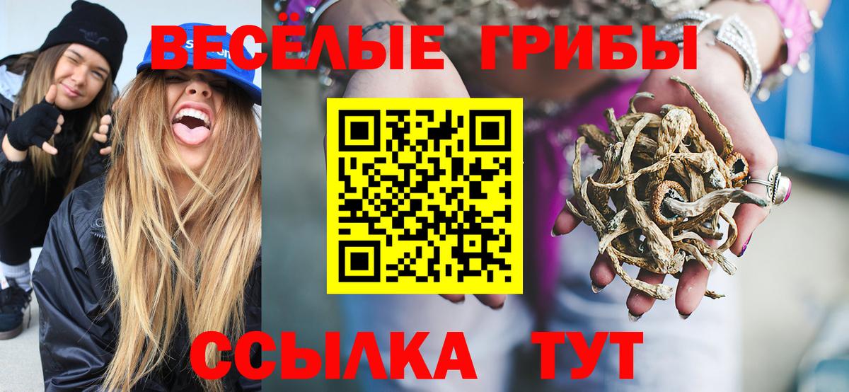 Алексин  Галлюциногенные грибы Cubensis  Вход с VPN 